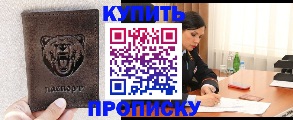 где прописаться в Дмитрове